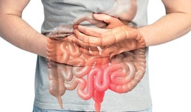 Duygusal Beyin–Bağırsak: Regülasyonun Merkezindeki İçsel Ağı