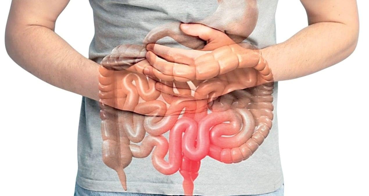 Duygusal Beyin–Bağırsak: Regülasyonun Merkezindeki İçsel Ağı