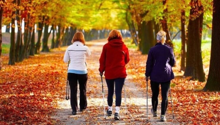 Hareketsizliğe Karşı Günlük Yürüyüş: 5 Dakikalık Adımların Büyüyen Etkisi