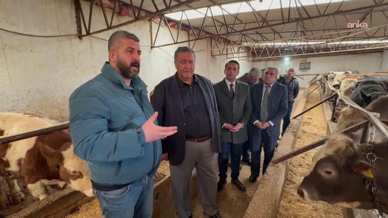 Hayvancılığın Güncel Zorlukları: Üreticilerin Çaresizliği ve Acil Çalışma Talepleri