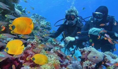 Mercan Resifleri ve Balıkçılık: Gıda Güvenliği İçin Stratejik Bir Değişim