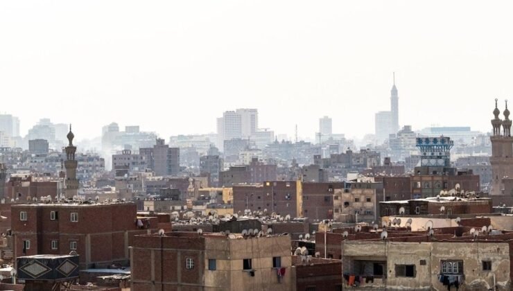 Mısır’daki Termit Tehdidi: Şehir Bölgesel Riskler ve Piyasa Etkileri