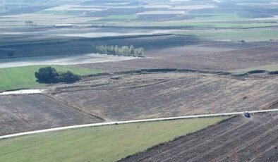 Orman Kadastrosu ve 2B Uygulama Yönetmeliği İçeriğinin Yeniden Düzenlenmiş Özeti