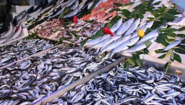 Sardalya: Ekonomik, Besin Dolu ve Cilt-Dengeleyen Omega-3 Kaynağı