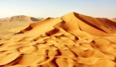 Ténéré Ağacı: Çöldeki Yanılsız Yol Gösterici ve Hafıza Dolu Efsane