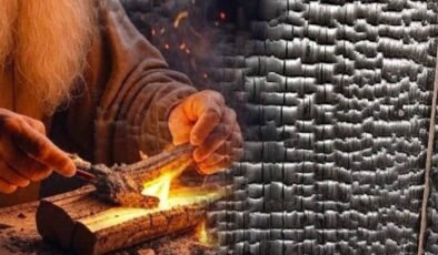 Yakışugi ve Leonardo: Ahşabı Korumanın Zamanlar Ötesi İzleri