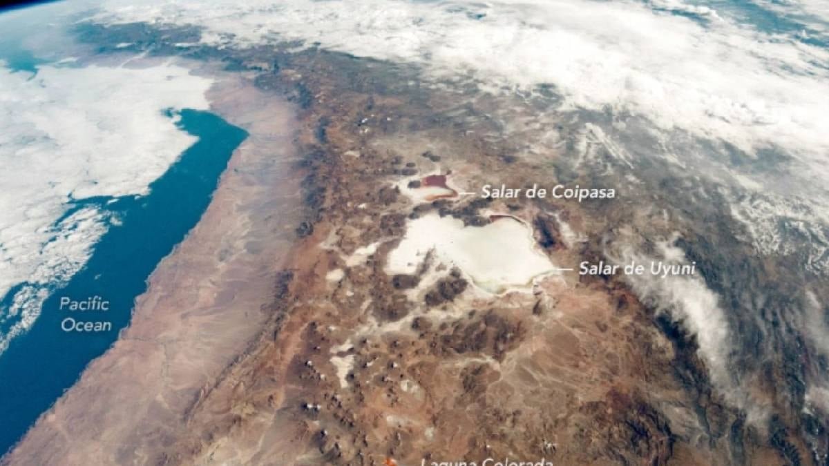 Arındırma Havuzlarındaki Arsenik ve Tuz Ağır Metallerinin Ekolojik Tehditleri