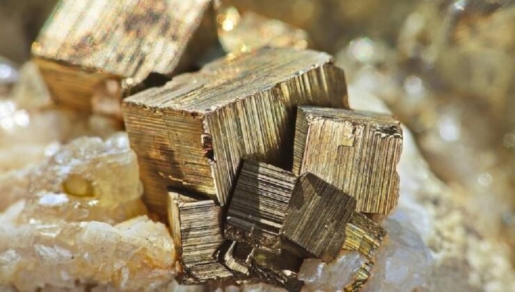 Arındırma Havuzlarındaki Arsenik ve Tuz Ağır Metallerinin Ekolojik Tehditleri