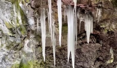 Bandera Yanardağı’nın Buzlanmış Gizemi: Doğal Buzdolabı ve İçindeki Ekosistem