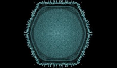 Büyük Virüsler ve Ökaryogenez: Ushikuvirus’un Keşfiyle Yeni Bir Bakış