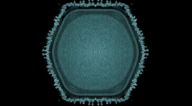 Büyük Virüsler ve Ökaryogenez: Ushikuvirus’un Keşfiyle Yeni Bir Bakış