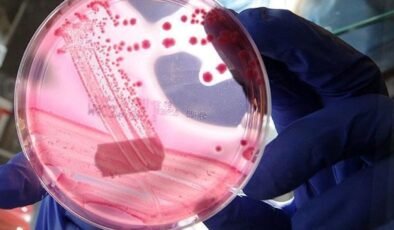 Dünya Kanser Günü: Önlenebilir Nedenler ve Küresel Etkileri Derinlemesine Değerlendirme