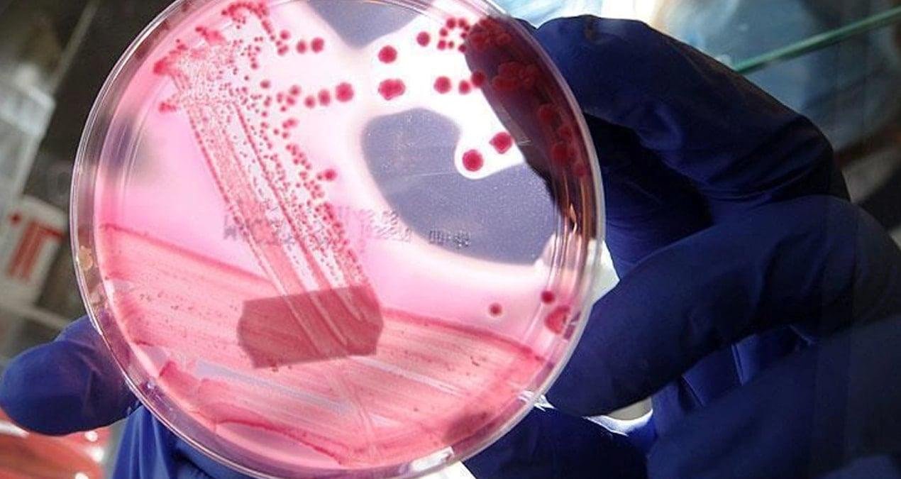 Dünya Kanser Günü: Önlenebilir Nedenler ve Küresel Etkileri Derinlemesine Değerlendirme