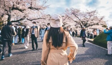 Fujiyoshida Kiraz Çiçeği Festivali İptal Edildi: Turist Krizi ve Şehir Güvenliği Önlemleri