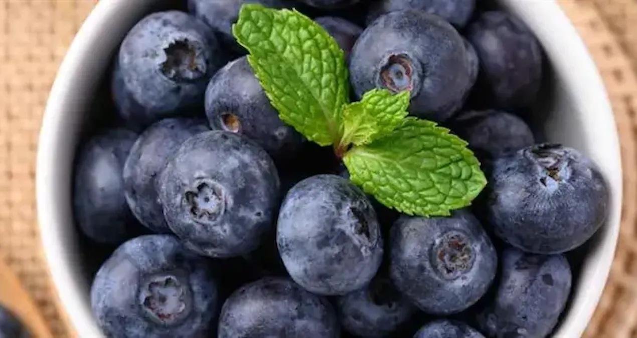 İngiltere’de Yaban Mersini: Tüketim, Sağlık Faydaları ve Tüketim Önerileri