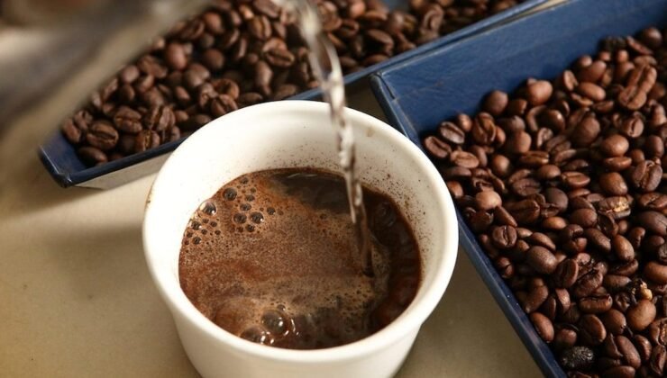 Kahve Üretiminde Sıcak Günlerin Yüzdesel Yükselişi ve Finansman Engelleri