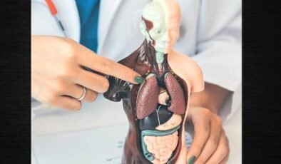 Karaciğer Sağlığı ve Beslenme: Detoks ve Yaşamsal Fonksiyonları Destekleyen Akılcı Yol Haritası