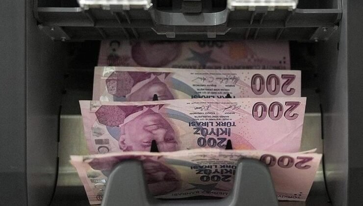 KKM ve Bütçe Dinamiklerinde Son Haftaya Ait Özet: Kredi ve Özkaynaklarda Değişimler