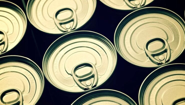 Konteyner Gıdalarında BPA ve Küf Toksinleri: Yüksek Fiyatlı Ürünler Her Zaman Temiz İçerik Sunmuyor