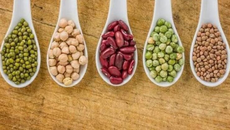 Longevity Diyeti ve Baklagiller: Sağlıklı Uzun Yaşam İçin Bitkisel Besinlerin Gücü