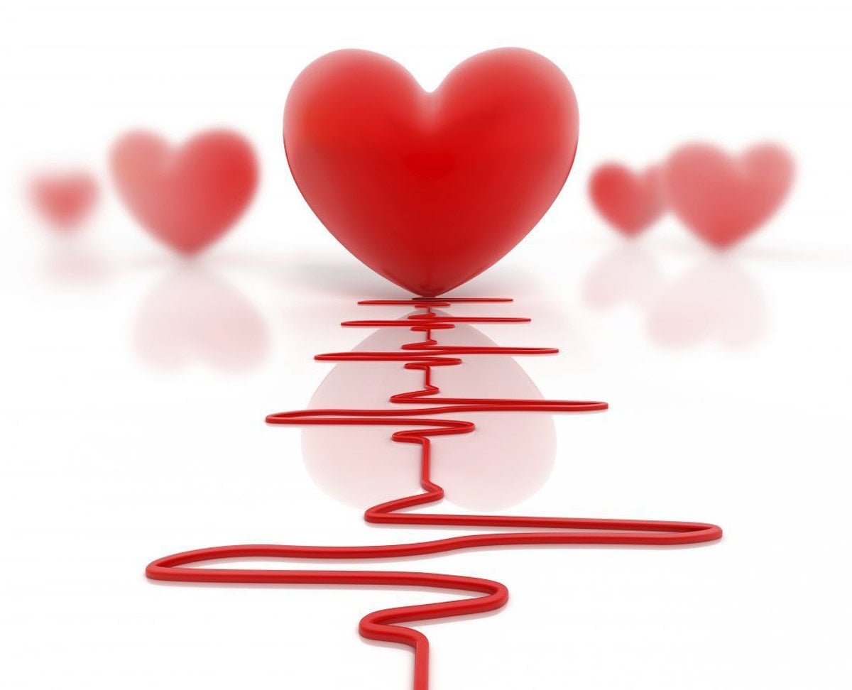 Longevity ve Damar Sağlığı: Gençlikten Menopoza Kalp Damar Riskleri üzerine pratik öneriler