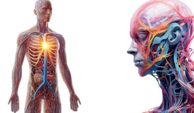 MRI Beyin Yaşlanması ve Yağ Dağılımı Profilleri: Pankreas Ağırlıklı ve Zayıf Ama Yağlı Kapsamında Nörolojik Riskler