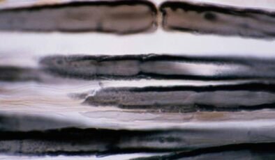 Osmiyumun Gölgede Kalan Gücü: Dünyanın En Pahalı Metali ve Rakipsiz Yoğunluğu