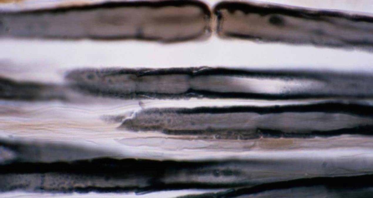 Osmiyumun Gölgede Kalan Gücü: Dünyanın En Pahalı Metali ve Rakipsiz Yoğunluğu