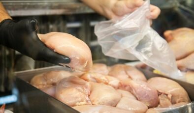 Ramazan Öncesi Tavuk Fiyatları ve İhracat Yasağı Sakarya’da Şok Etkisi: Üretici ve Piyasa Eğilimleri