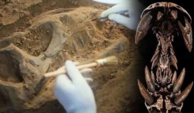 Spinosauridlerin Gölgesinde: CEHENNEM BALIKÇISI’nin Anatomisi ve Efsanelerin Kökeni