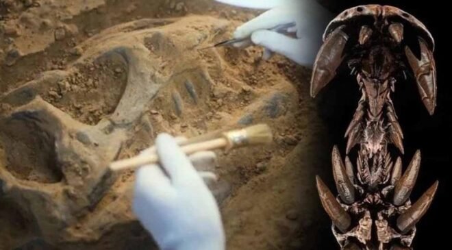 Spinosauridlerin Gölgesinde: CEHENNEM BALIKÇISI’nin Anatomisi ve Efsanelerin Kökeni