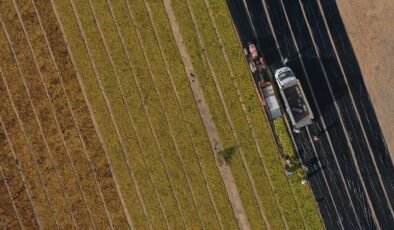 Tarım ve İmalat Destekli Kredilerde Yeni Şartlar ve Uygulama Aşamaları