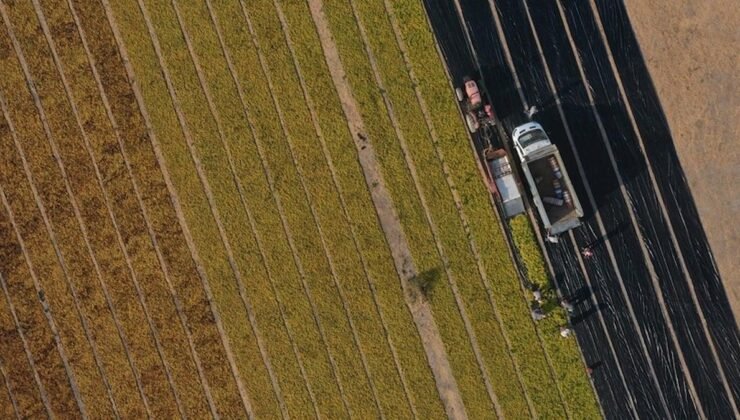 Tarım ve İmalat Destekli Kredilerde Yeni Şartlar ve Uygulama Aşamaları