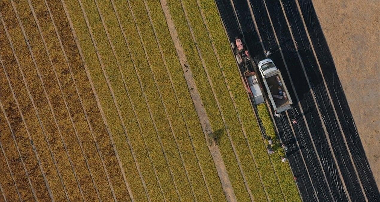 Tarım ve İmalat Destekli Kredilerde Yeni Şartlar ve Uygulama Aşamaları