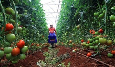 Türkiye’de Özelleştirme Rüzgârı: Kamuya Ait Arazilerin Satışına Devam