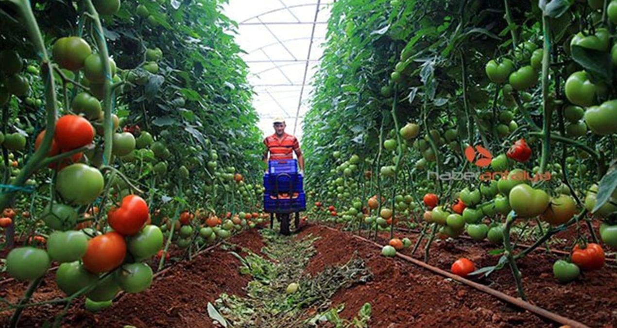 Türkiye’de Özelleştirme Rüzgârı: Kamuya Ait Arazilerin Satışına Devam