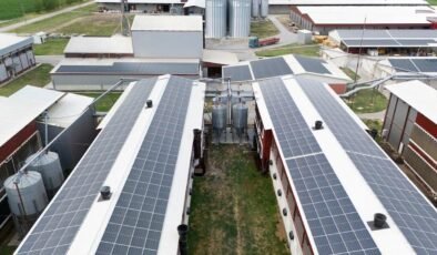 Amber Energy Solutions LTD için İflas ve Kayyum Ataması: İngiltere’nin Enerji Sektöründe Şok Dalga