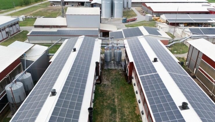 Amber Energy Solutions LTD için İflas ve Kayyum Ataması: İngiltere’nin Enerji Sektöründe Şok Dalga