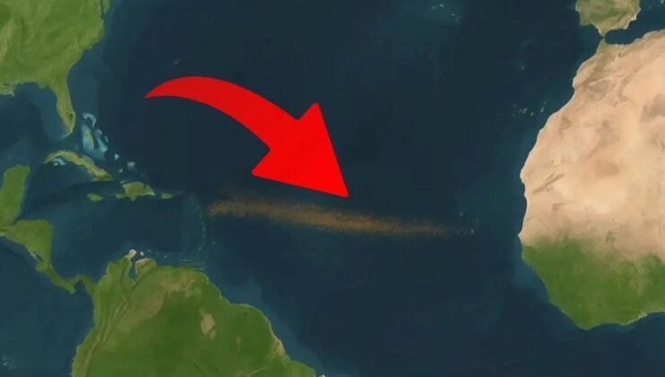 Atlantik’te Büyük Sargassum Kuşağı: Büyümenin Ötesinde Tehditler ve Uluslararası Çağrı