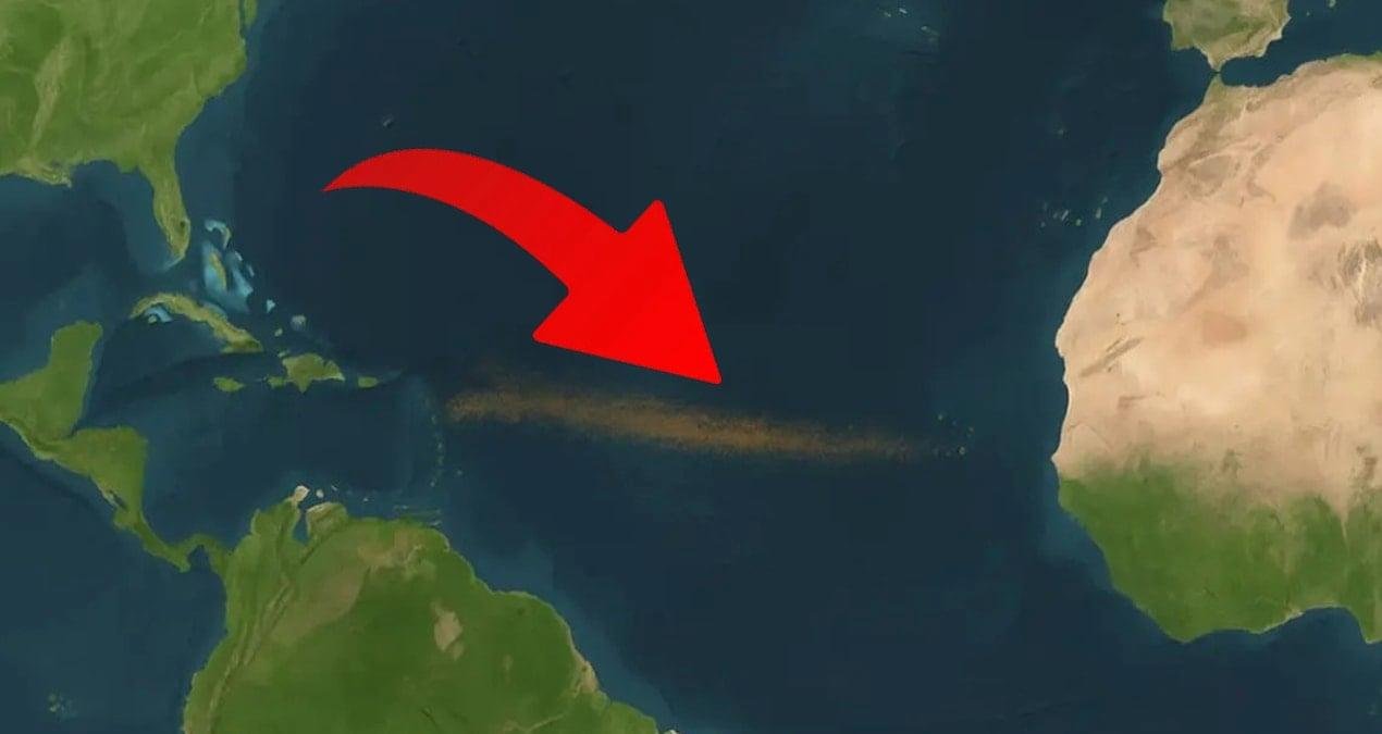 Atlantik’te Büyük Sargassum Kuşağı: Büyümenin Ötesinde Tehditler ve Uluslararası Çağrı