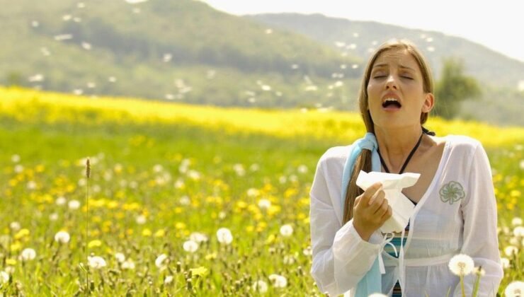 Bahar Alerjisine Karşı Etkili Adımlar: Belirtileri Anlamak ve Kontrol Altına Almak