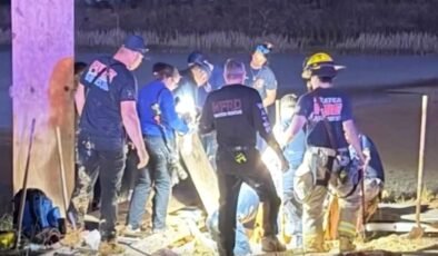 Bataka Dalgasında Umut ve İş Birliği: Giddens’in Kurtarılma Hikayesi