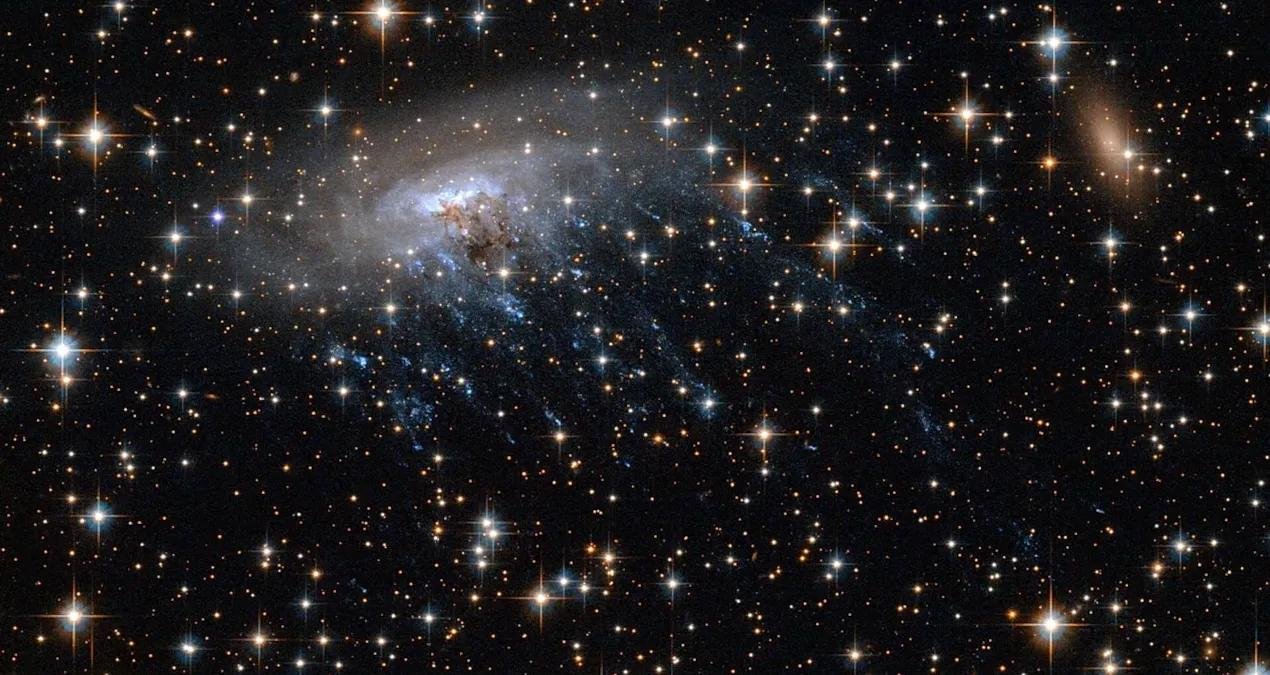 Denizanası Galaksileri: COSMOS’ta Yeni Bir Keşif ve JWST’nin Işığında Doğrulanan Gaz Koparıcılar