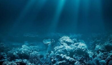 Derin Deniz Gözleri: Macropinna microstoma’nın Tılsımlı Baş Yapısı ve Sinsi Büyüsü