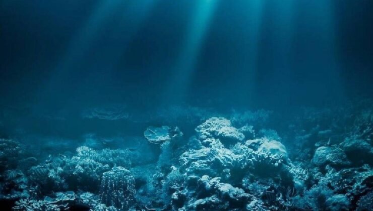 Derin Deniz Gözleri: Macropinna microstoma’nın Tılsımlı Baş Yapısı ve Sinsi Büyüsü