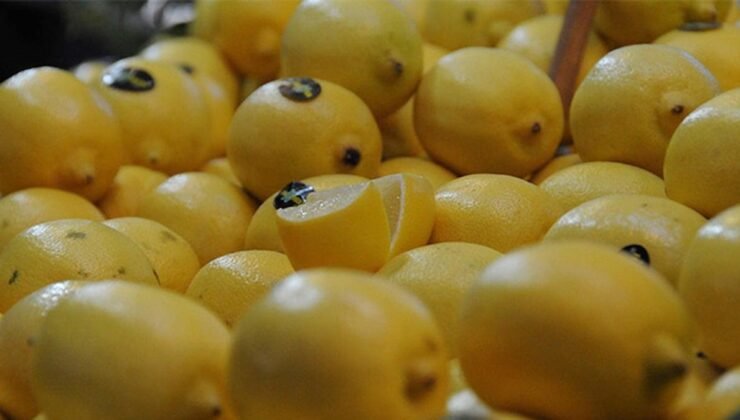 Gıda Enflasyonunda Üretim ve İthalat Dengesinin Çarpıklığı: Nasıl Bir Yol Haritası