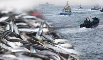 Gizli Uyuşturucu: Çin Balık Pazarlarında Öjenol ve Metanol Şüphesi