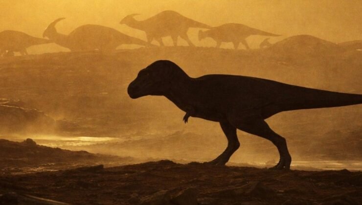 Hunter Wash Kıyısında Yeni Bir Tyrannosaurus Bünyesi Mi? Geç Kampaniyen Döneminin En Eski Üyelerinden Biri Olarak Yakın İnceleme