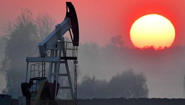 IEA Acil Durum Rezervleri: Bölgesel Müdahale ve Küresel Petrol Piyasasında Yeni Denge