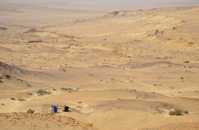 Masripithecus Moghraensis: Kuzey Afrika’daki Yeni Araftan Evrim Atlasına Daki Sarsıcı Nokta